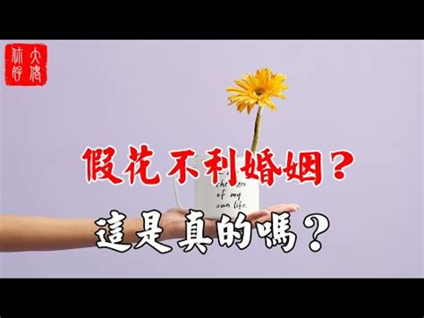 屋企放假花|假花擺放注意事項